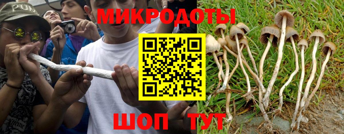 Псилоцибиновые грибы Psilocybine cubensis  Вход с VPN  Кемерово 