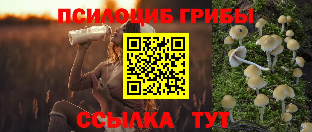 Галлюциногенные грибы ЛСД Кемерово